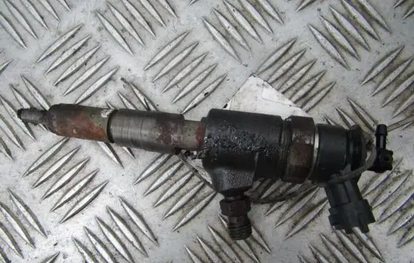 Peugeot 207 Fuel injector 0445110252 565889