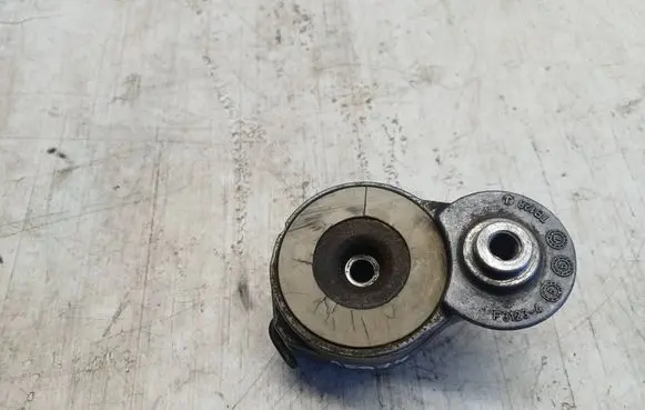 Peugeot Partner Generator/alternator belt tensioner 541273 F31234 8284