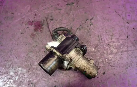 Dacia Logan I EGR valve 