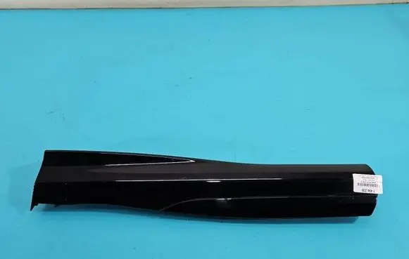 Rear door trim (molding)