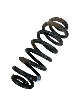 Rear coil spring