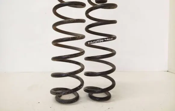 Skoda Roomster (5J) Rear coil spring