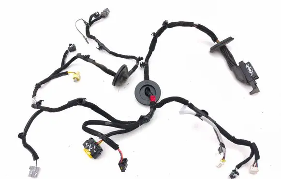 KIA Niro Front door wiring loom 91600A0010