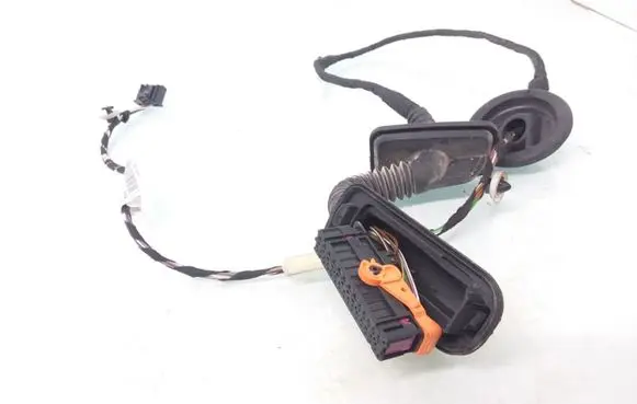 Rear door wiring loom