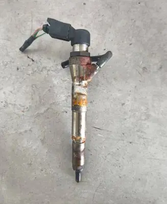 Nissan Qashqai Fuel injector H8200704191
