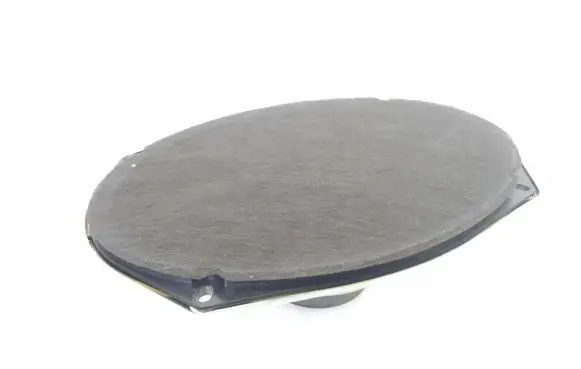 Rear door speaker