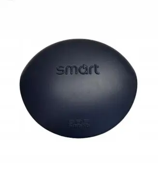 Smart ForTwo I Steering wheel airbag