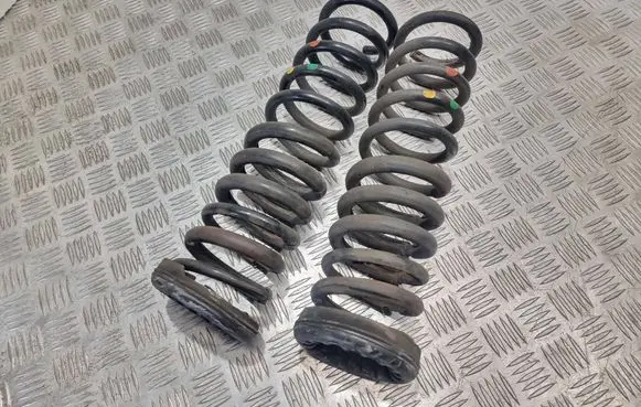 Rear coil spring