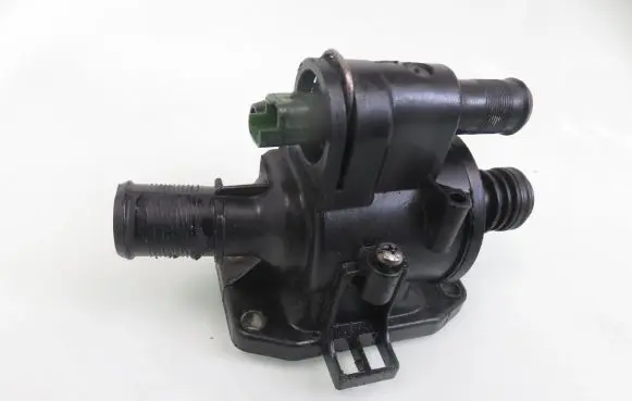 Thermostat/thermostat housing