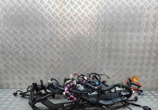 Tesla Model 3 Other wiring loom 256796407C