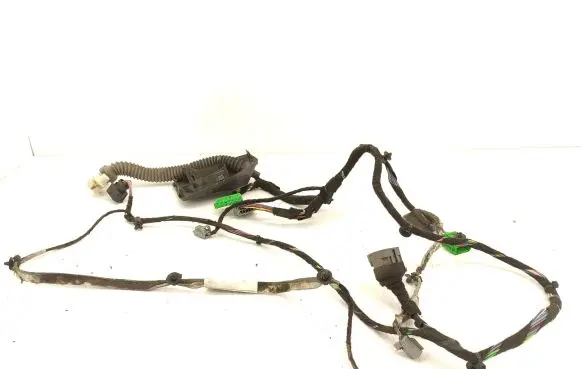 Front door wiring loom