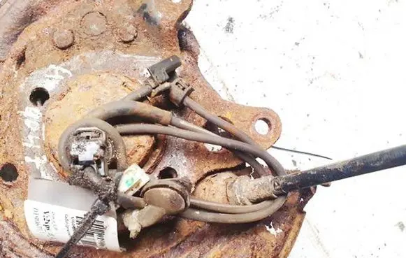Toyota Corolla E120 E130 Parking sensor (PDC) wiring loom