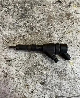 Peugeot 406 Fuel injector 0445110076