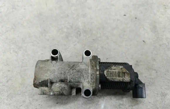 Opel Signum EGR valve 552060490