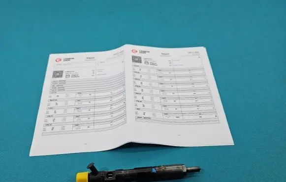 Renault Megane II Fuel injector EJBR05102D IMPRK1439384