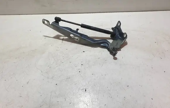 Volvo S80 Engine bonnet/hood hinges 301AAD8E