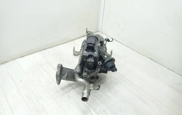 Peugeot 308 EGR valve 9602194080