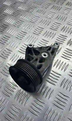 Jaguar XJ X351 Generator/alternator belt tensioner 9X238A610AA