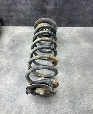 Rear coil spring