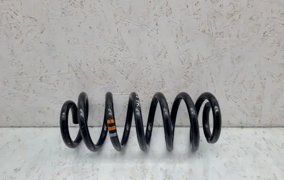 Front coil spring