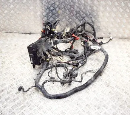 Dodge Stealth Other wiring loom MB894659