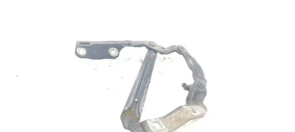 Volkswagen New Beetle Engine bonnet/hood hinges 1C0823301F