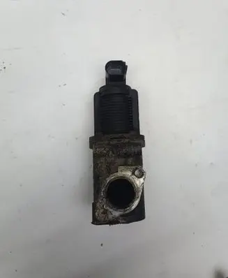 EGR valve