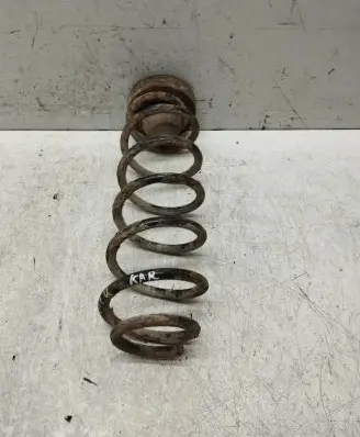 Volkswagen Golf IV Rear coil spring