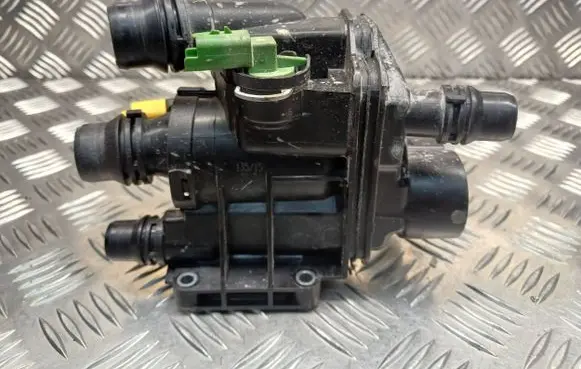 Thermostat/thermostat housing