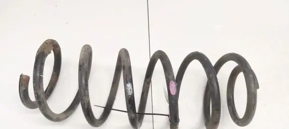 Front coil spring