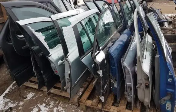 Renault Laguna II Rear door zydros