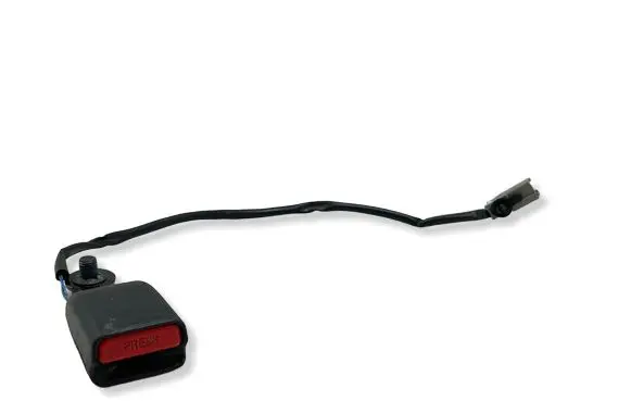 Tesla Model S Rear seatbelt buckle 101879100D