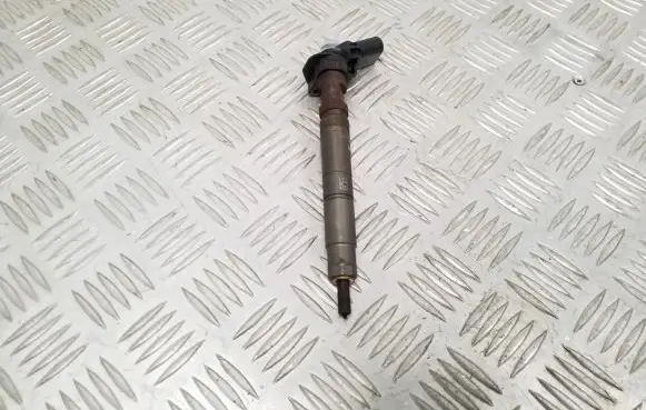 Hyundai Santa Fe Fuel injector 338002F000