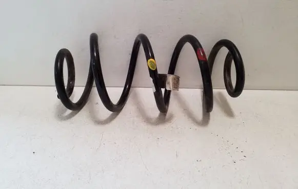 Rear coil spring