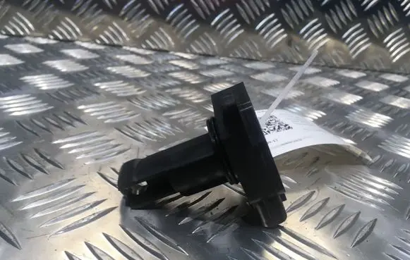 Mazda 3 I Mass air flow meter 1974002010