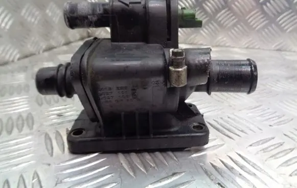 Thermostat/thermostat housing