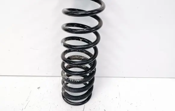 Rear coil spring