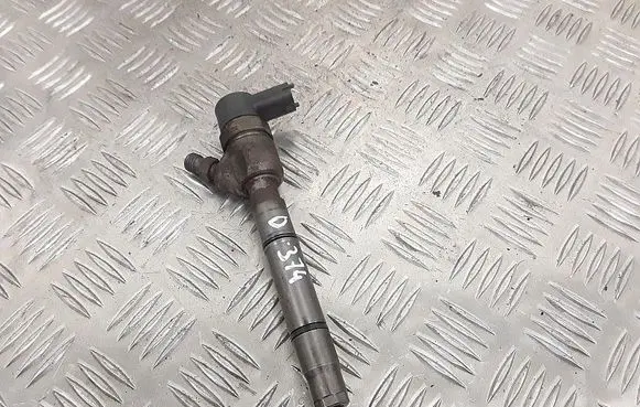 Hyundai i20 (PB PBT) Fuel injector 338002a900
