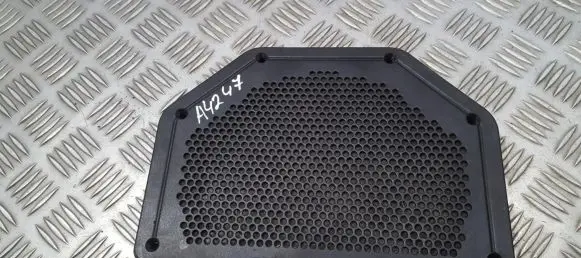 Side speaker trim/cover