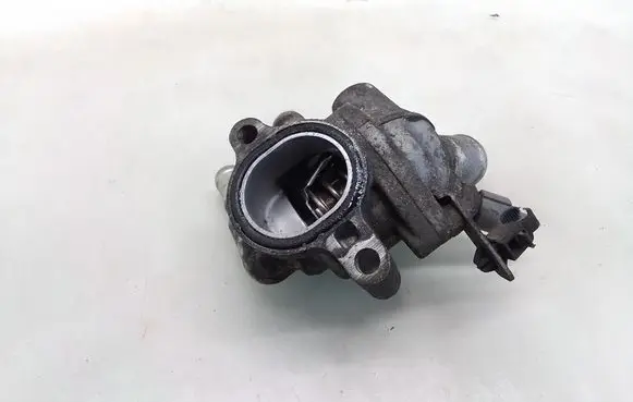 Thermostat/thermostat housing