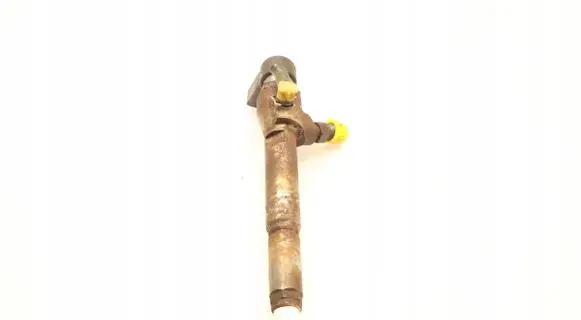 Nissan Qashqai Fuel injector 8200294788