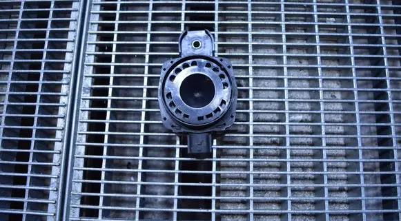 Renault Clio IV Alarm system siren 256400001R