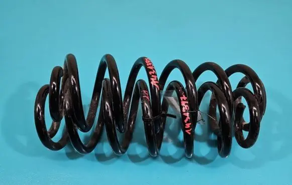 Rear coil spring