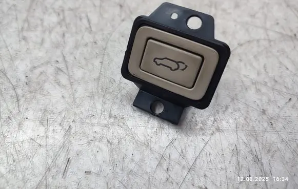 Hyundai ix 55 Tailgate/trunk/boot open switch 