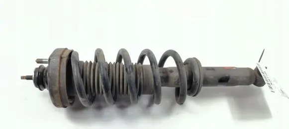 Fiat Freemont Rear shock absorber/damper 
