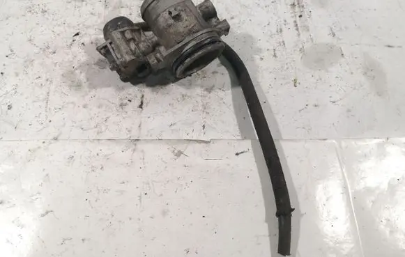 Citroen Berlingo Throttle valve