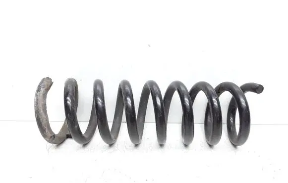Rear coil spring