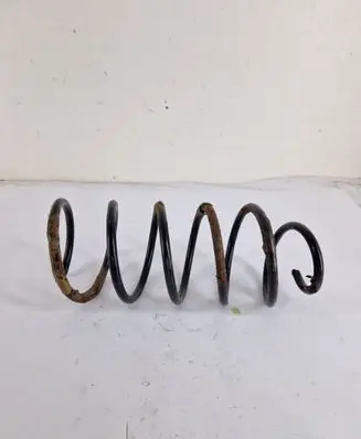 Front coil spring