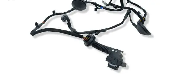 KIA Niro Rear door wiring loom 91620