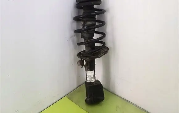 Fiat Bravo Front shock absorber with coil spring 50708205